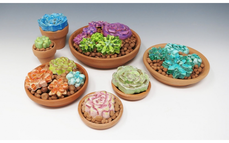 Sweet Succulents
